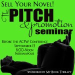 Learn how to sell your novel
